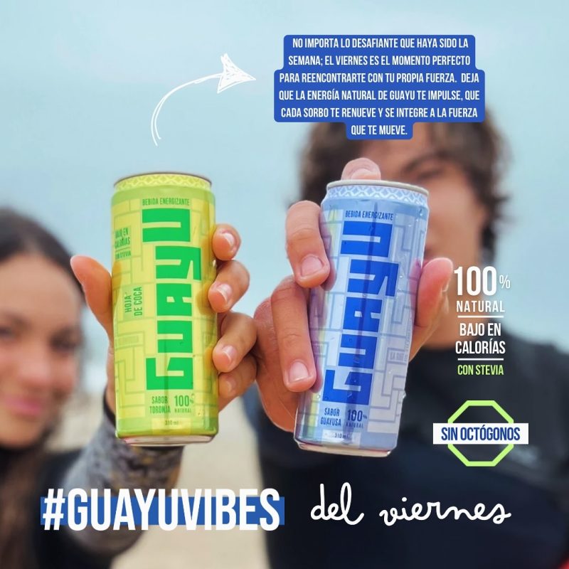 BEBIDA ENERGIZANTE GUAYU CLÁSICA 355 ML