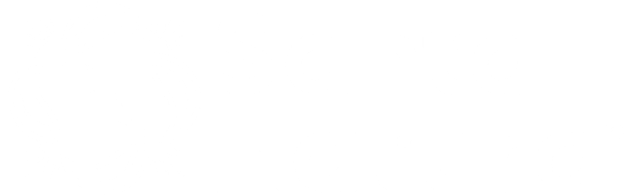 logo SN Blanco